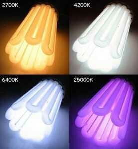 КЛЛ лампы бывают разной цветовой температуры