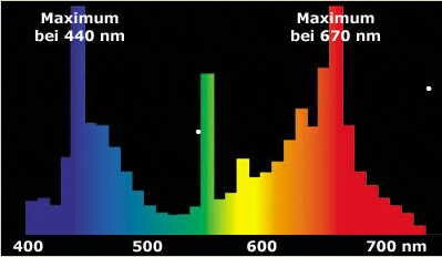 OSRAM FLUORA - спектр
