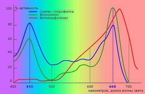 Спектр излучения для растении