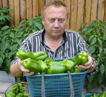 огород Игоря Лядова Удивительный, замечательный, умный огород Игоря Лядова